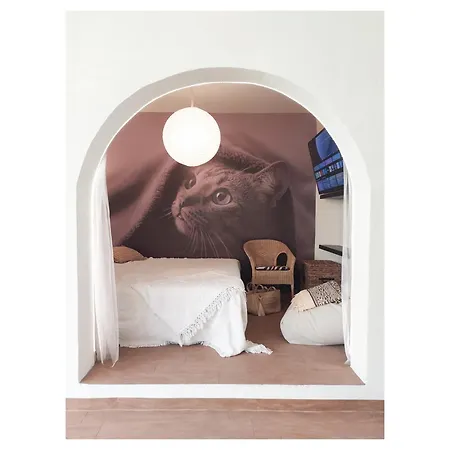 La Bohemia Tatil Evi Mogán