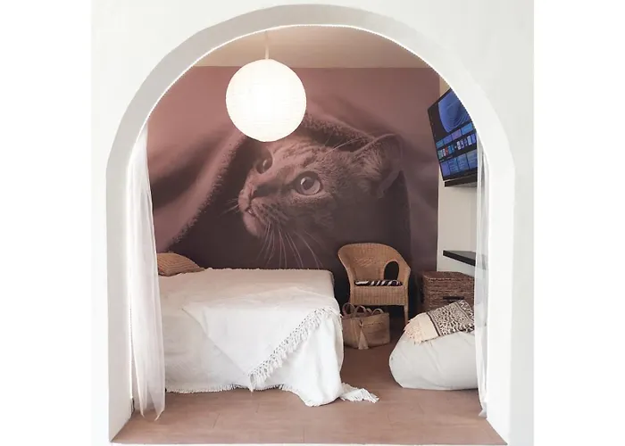 La Bohemia 펜션 Mogán